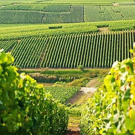 Lejlighed La Parenthese Champenoise Reims